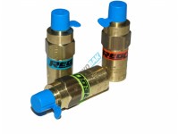 Предохранительный клапан REGO CryoFlow, серия PRV